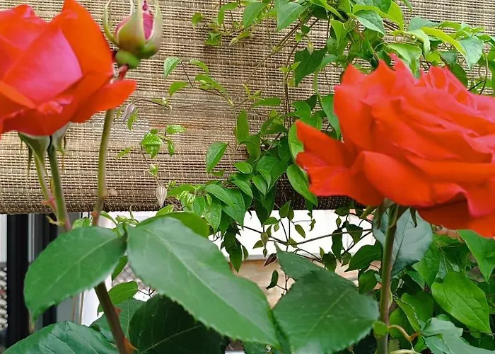 Jamakovic - Free Garage Parking *